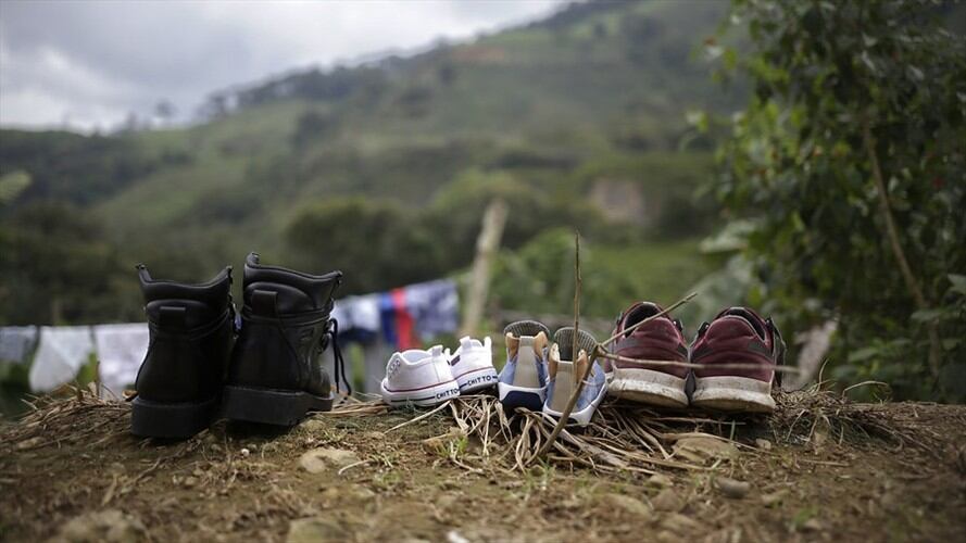 Imagen de referencia. Foto: Colprensa