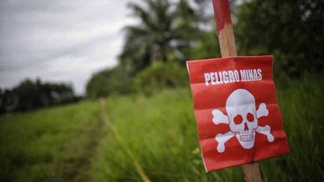 Un total de 378 personas han sido víctimas de minas antipersonal y otros artefactos explosivos. Foto: Colprensa / SERGIO ACERO