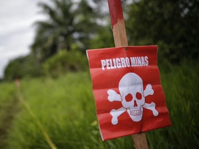 Un total de 378 personas han sido víctimas de minas antipersonal y otros artefactos explosivos. Foto: Colprensa / SERGIO ACERO