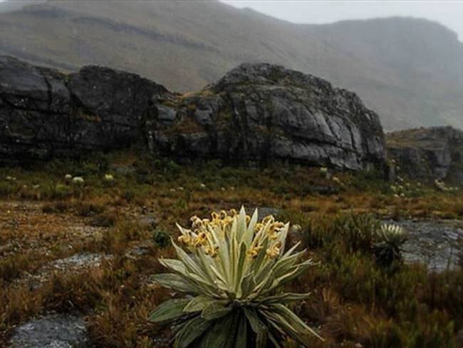 Las zonas agropecuarias en de Monguí están por encima de los 3000 metros de altura. Foto: Colprensa.