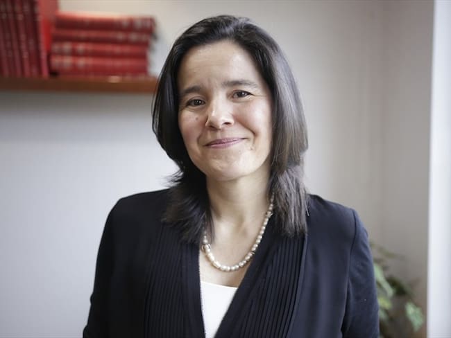 La ley TIC es un logro para conectar a todos los colombianos: Sylvia Constaín