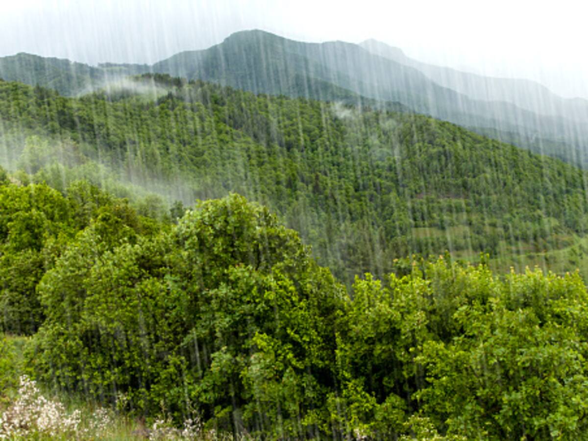 Decretan alerta naranja por fuertes lluvias en el Tolima