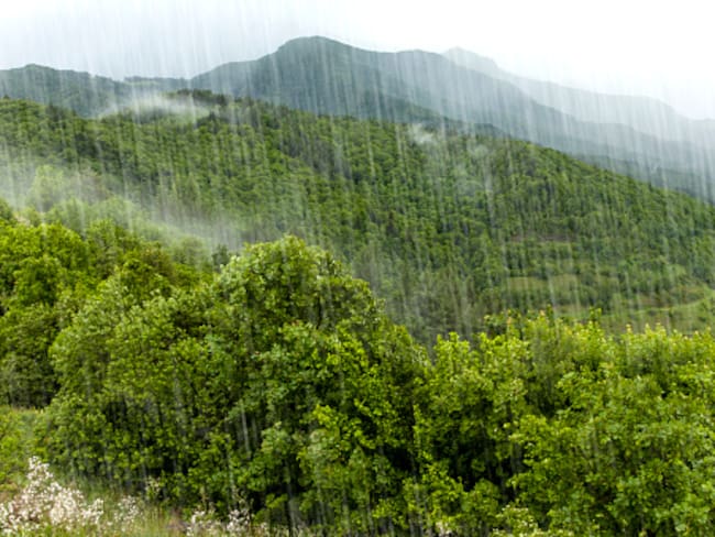 Imagen de referencia fuertes lluvias Foto: Getty