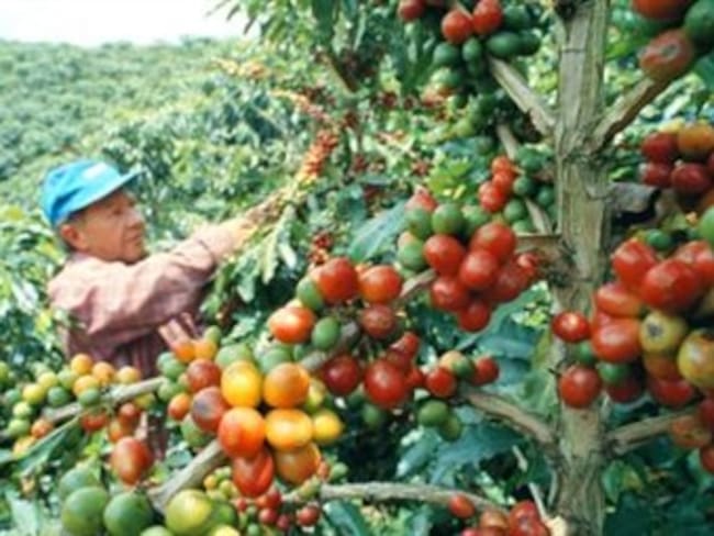 Foto: El Tiempo/Portafolio