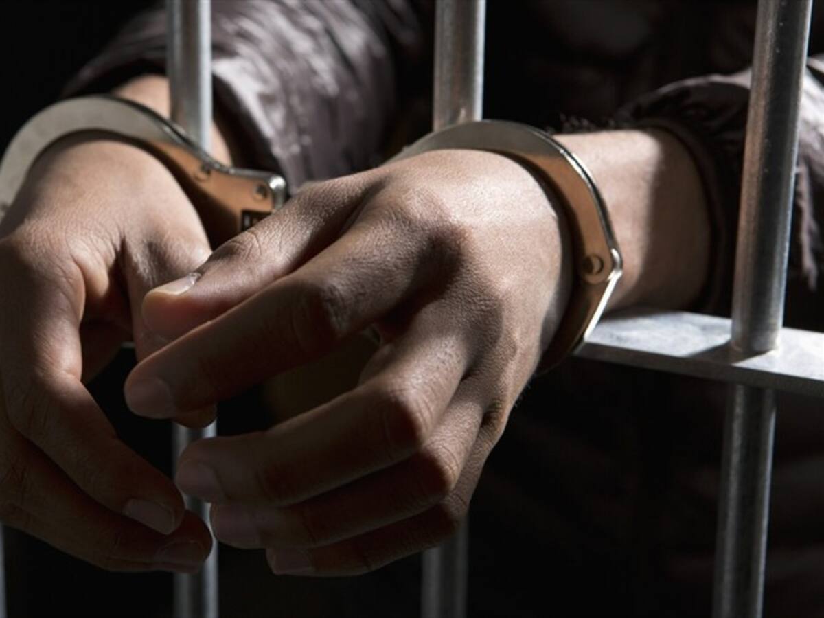 Ejército captura seis integrantes del GAO y recupera menor de edad en Tarazá, Antioquia