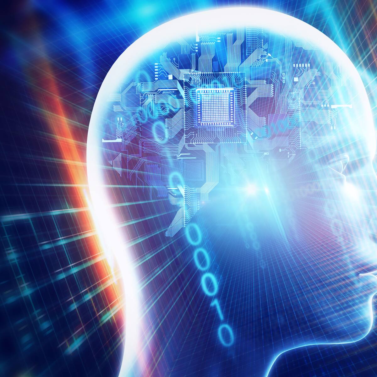 ¿Cuáles son los sistemas de recompensa del cerebro y cómo funcionan? experto responde