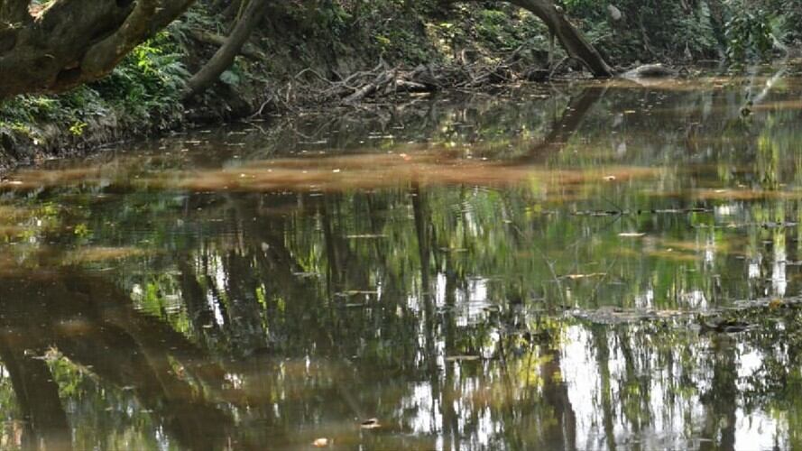 Derrame de crudo . Foto: Ecopetrol.