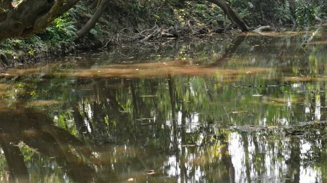 Derrame de crudo . Foto: Ecopetrol.