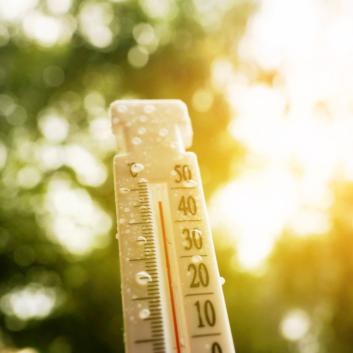 OMS advierte que las olas de calor causan 540.000 muertes anuales en el mundo