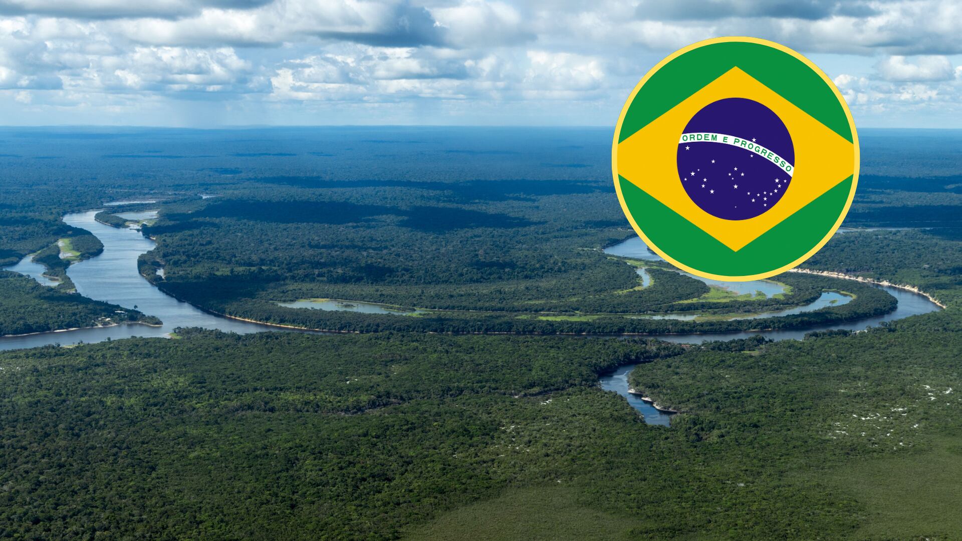 Selva amazónica en Manaus, Brasil. FOTO: Jens Büttner/Getty Images