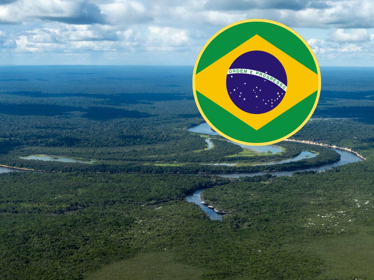 Brasil lanzó un fondo para proteger los bosques tropicales en el mundo
