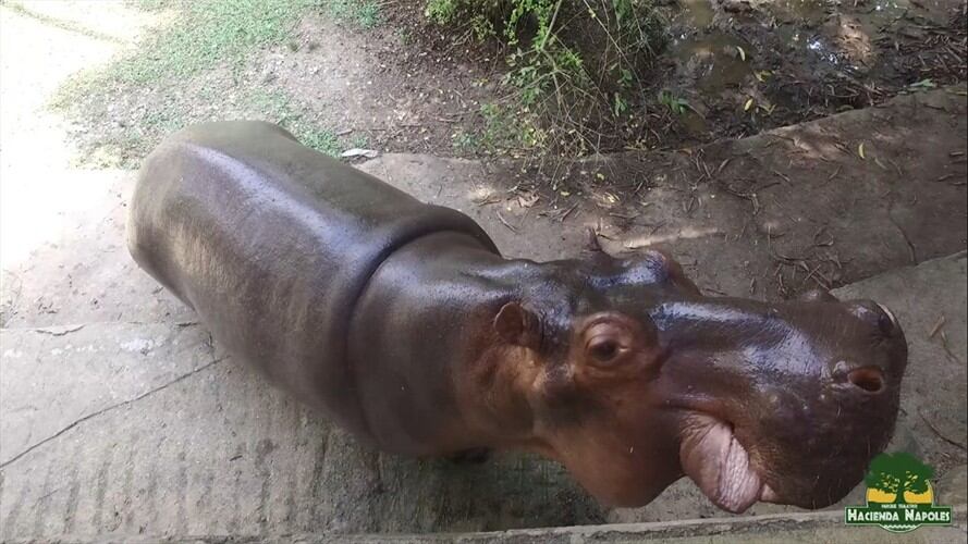 Parque Temático Hacienda Nápoles.