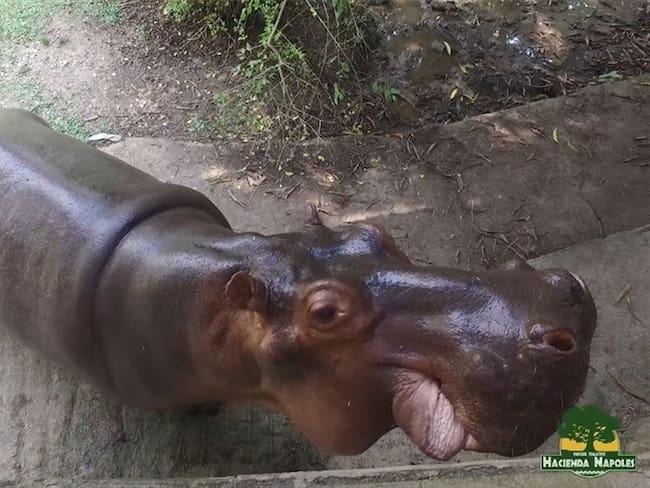 Parque Temático Hacienda Nápoles.