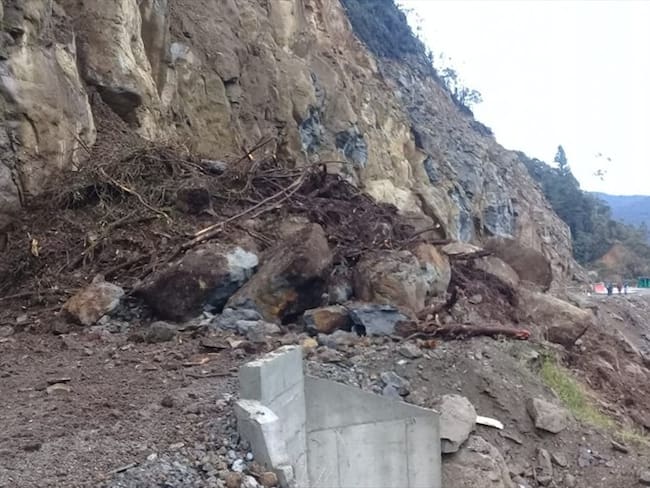 Decenas de vehículos quedaron represados en esta carretera que permite la comunicación entre los departamentos de Cauca y Huila. Foto: Cortesía Edison Quilindo