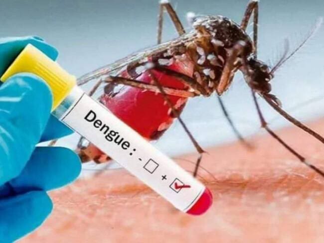 Bolívar reportó aumento de casos de dengue: se han presentado tres muertes