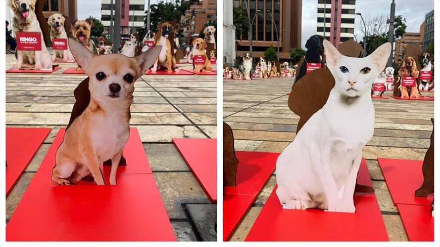 Emotivos carteles invadieron Bogotá para promover la adopción responsable de mascotas. Foto: cortesía