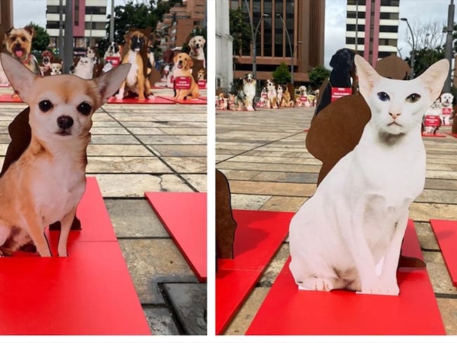 Emotivos carteles invadieron Bogotá para promover la adopción responsable de mascotas. Foto: cortesía