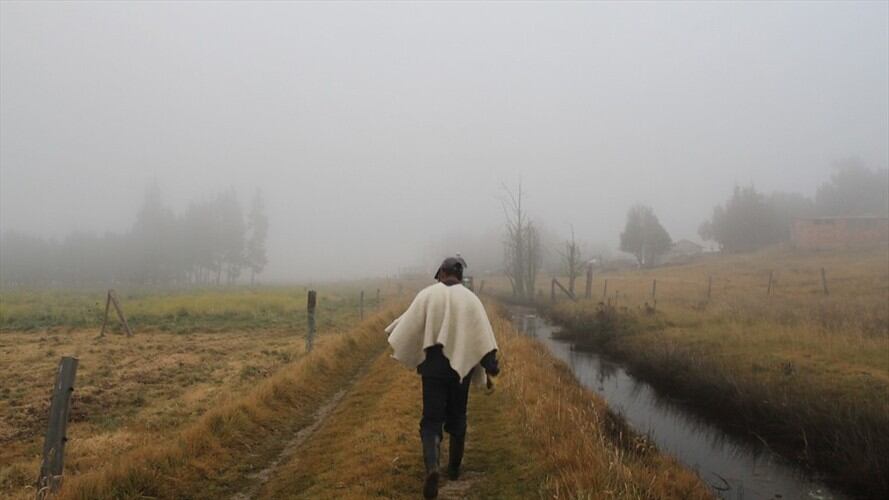 Las heladas que se vienen presentando en Boyacá, han puesto en jaque a productores ganaderos y agricultores. Foto: Colprensa