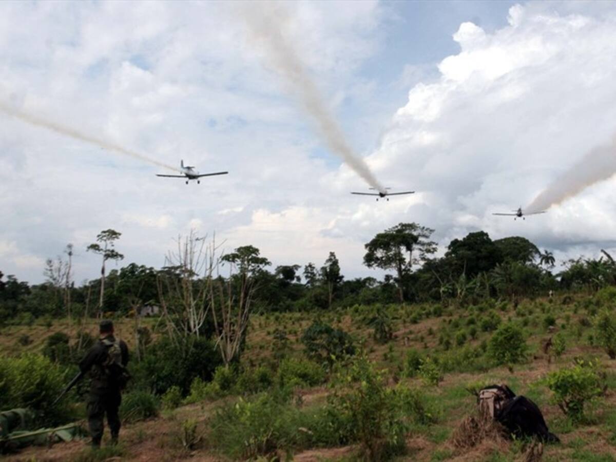 Campesinos rechazan aspersión con glifosato en Cauca