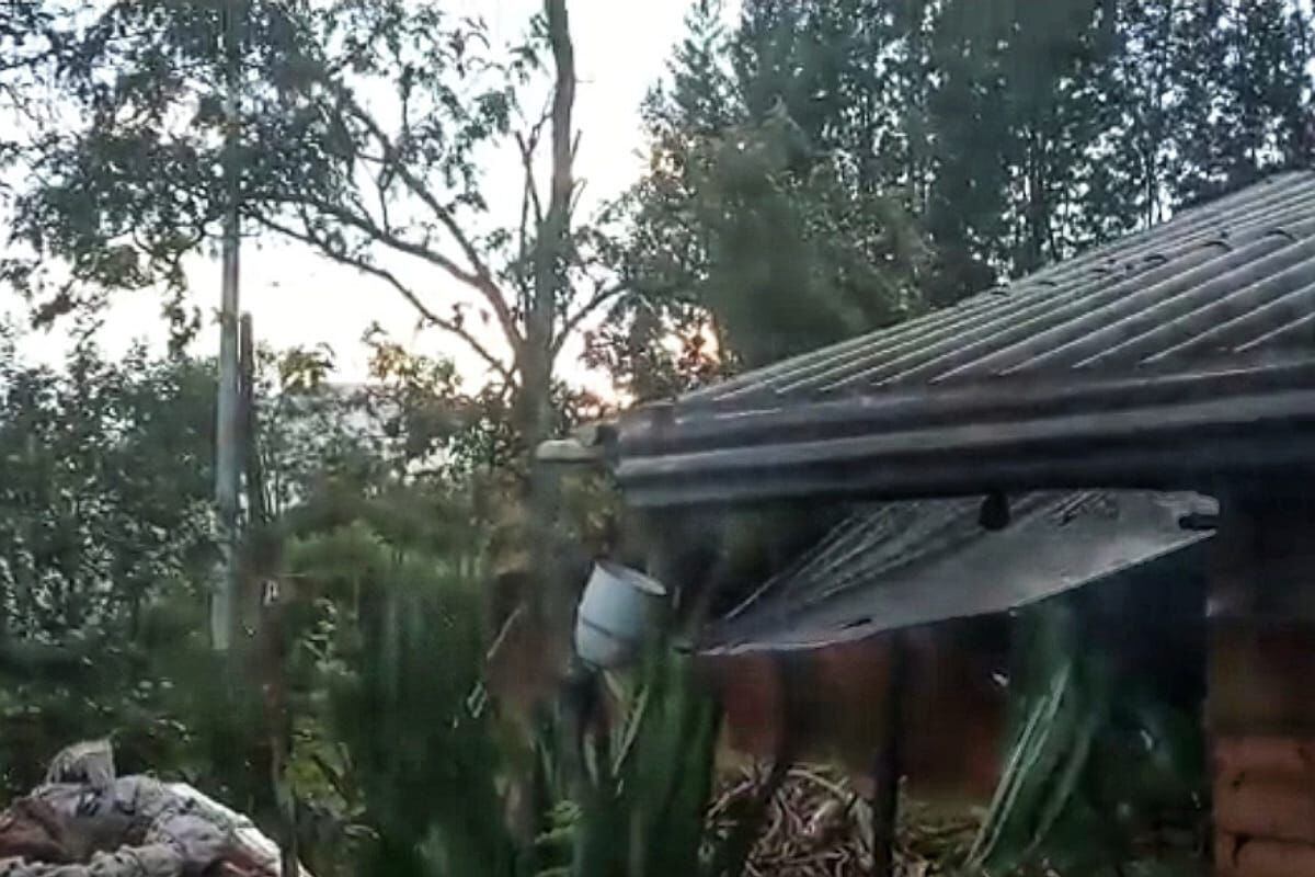 La situación representó un alto riesgo para las comunidades de las veredas Laguna Seca, Farallones y Loma Amarilla. Crédito: Red de Apoyo.