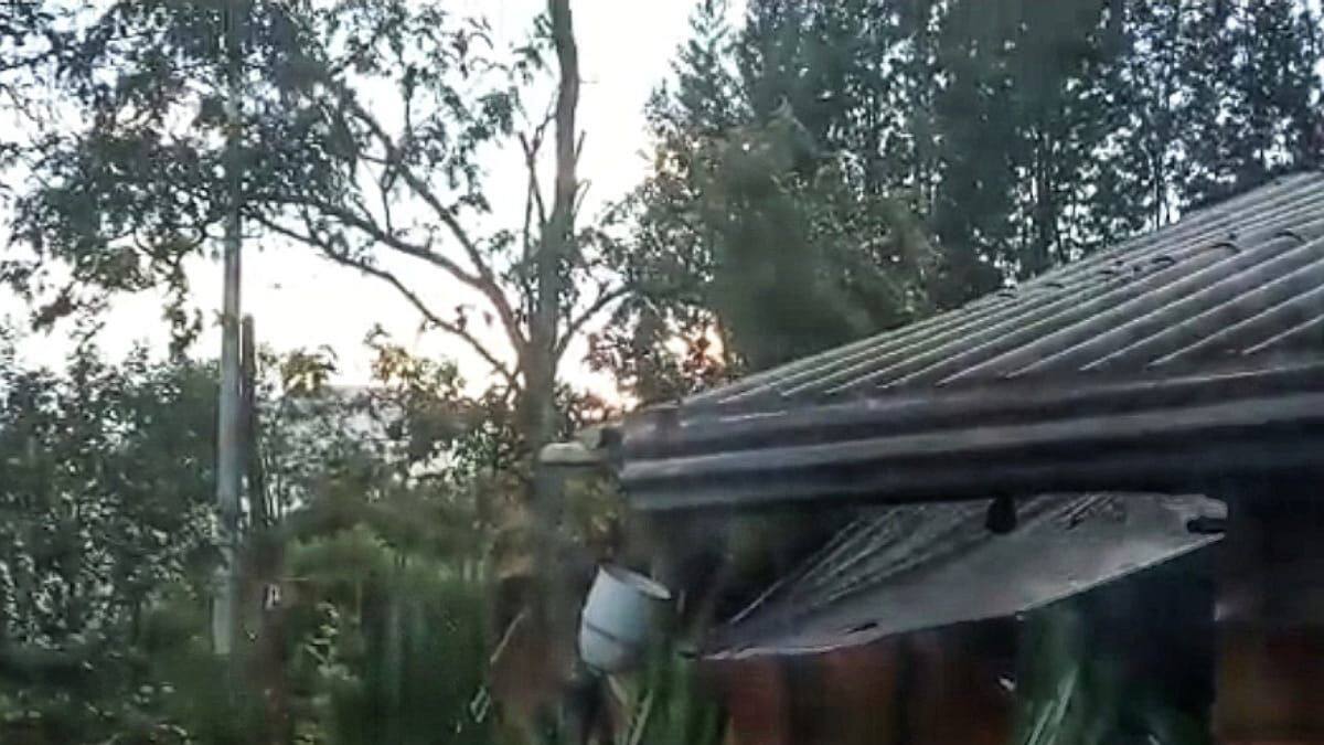 Tres veredas en riesgo por combates en el nororiente del Cauca