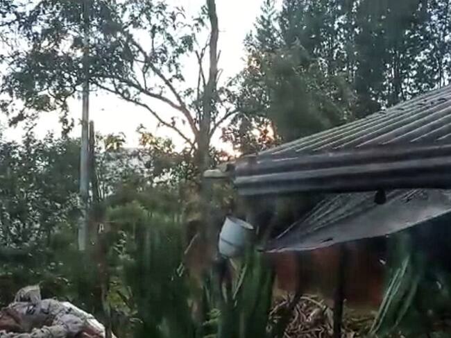 La situación representó un alto riesgo para las comunidades de las veredas Laguna Seca, Farallones y Loma Amarilla. Crédito: Red de Apoyo.