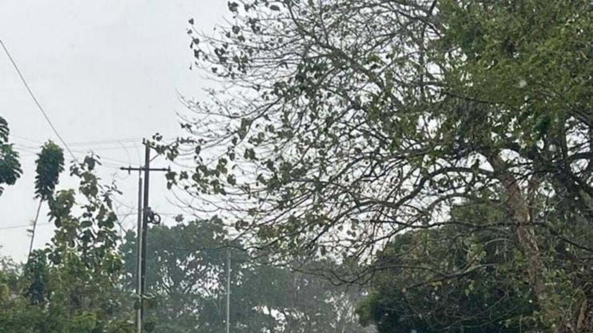 Reportan bloqueos en cuatro municipios de Córdoba por paro minero
