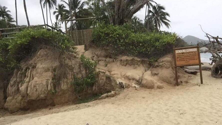 Predio en el Tayrona será sometido a extinción de dominio por delitos ambientales. Foto: Cortesía
