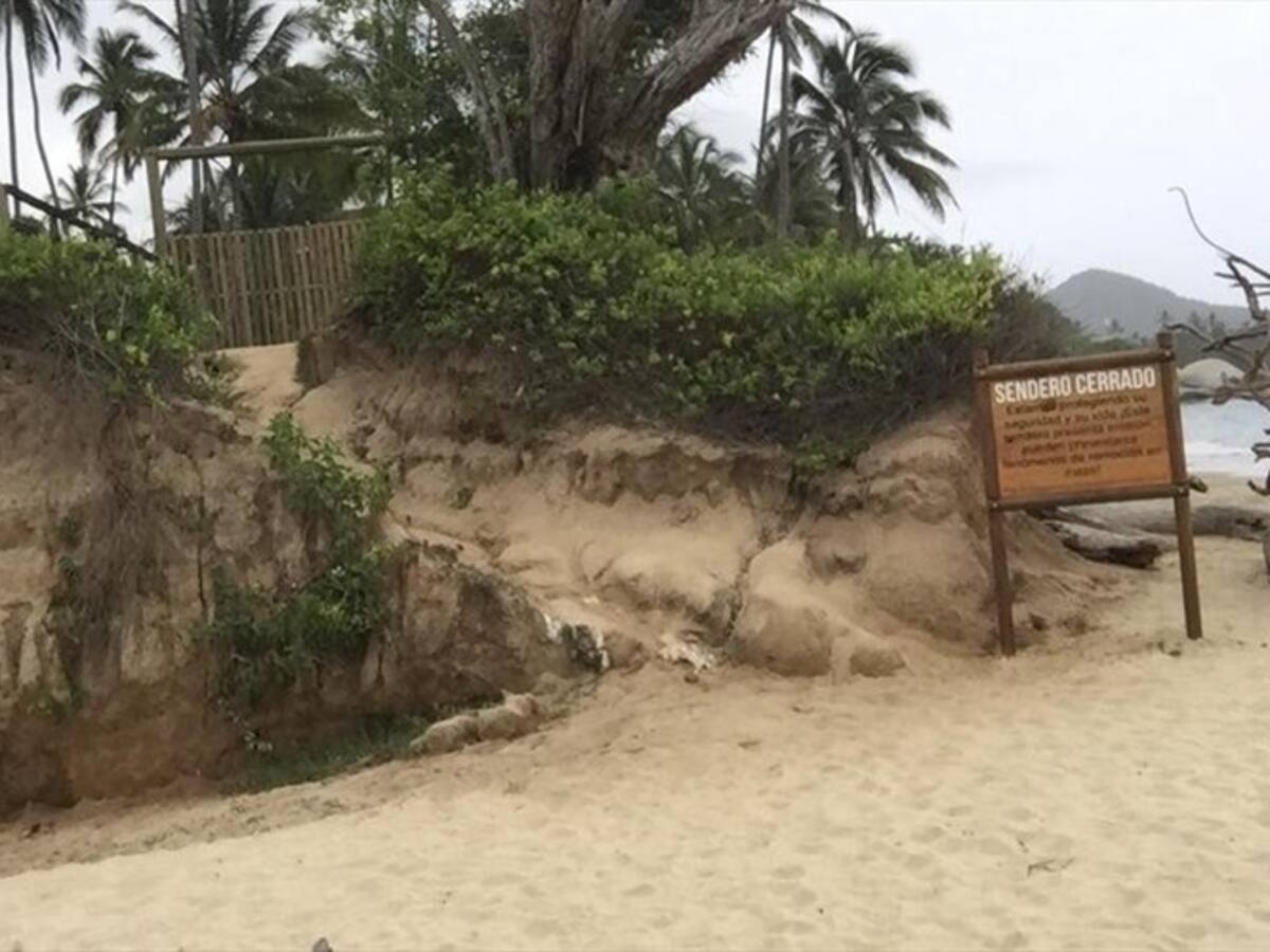 Predio en el Tayrona será sometido a extinción de dominio por delitos ambientales