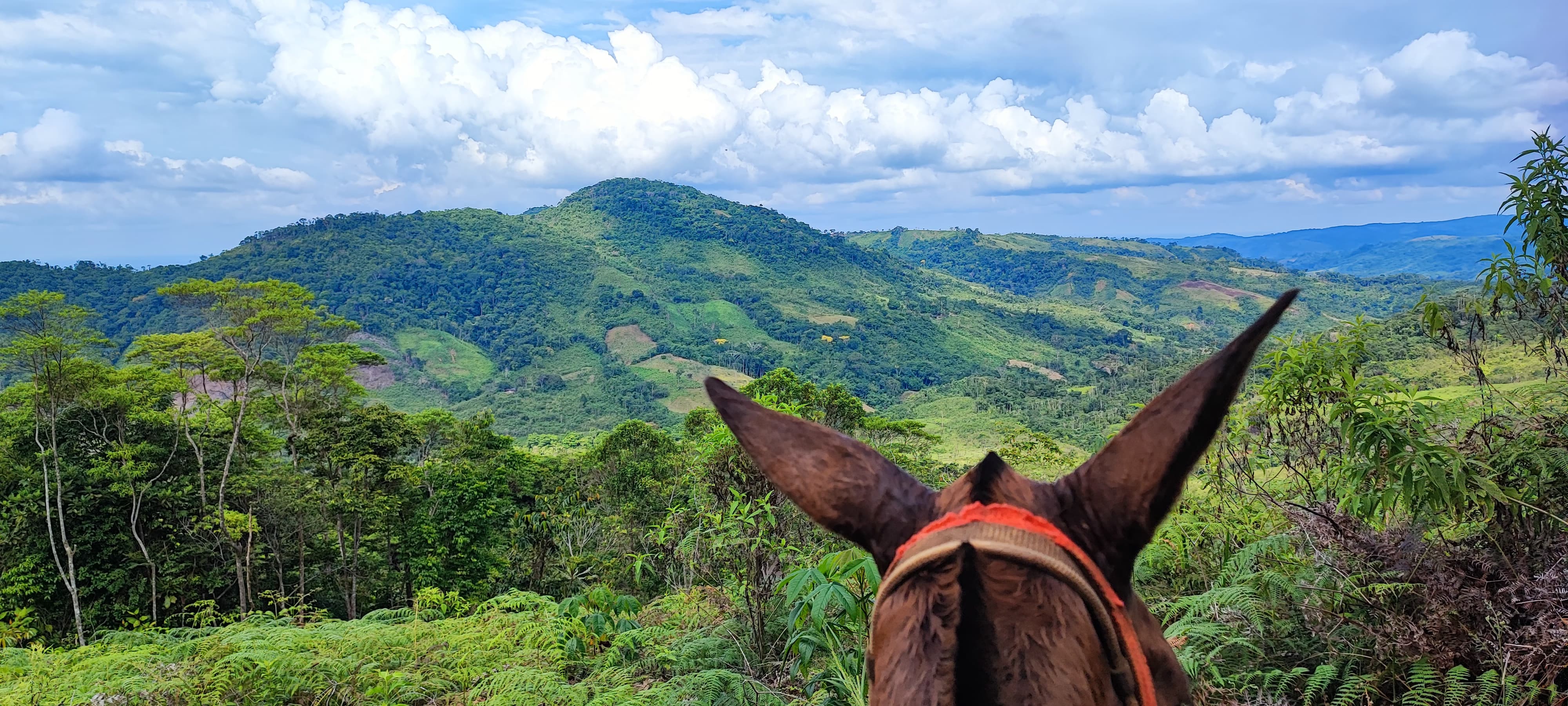 Inicia intervención de restitución de tierras en zona de protección ambiental del Parque Natural Paramillo en Córdoba. Foto: URT.