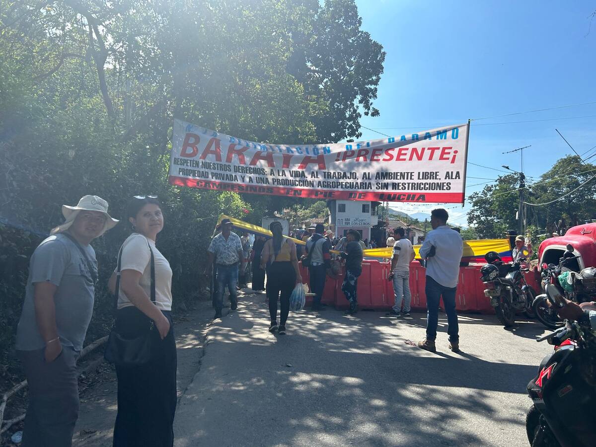 Llegada de productos agrícolas se ha disminuido en 30% por paro: Gobernador de Santander