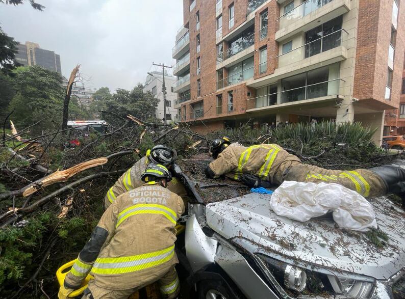 Caída de árbol en Chapinero, Bogotá. Foto: Bomberos