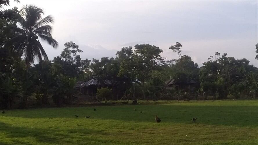 VEREDA-RÍO SUCIO-PUERTO LIBERTADOR. Foto: Cortesía
