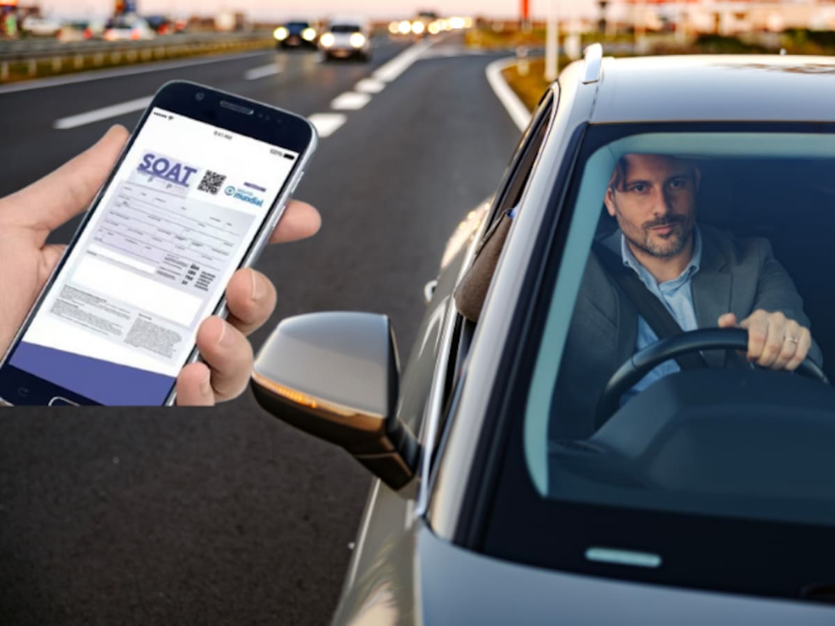 ¡Atento! Si no tiene cualquiera de estos 3 documentos en el carro, podrían inmovilizarlo: Explicamos