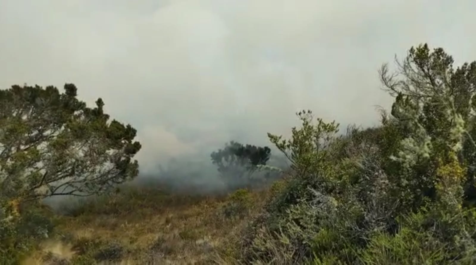 Foto/ Bomberos de Aquitania.