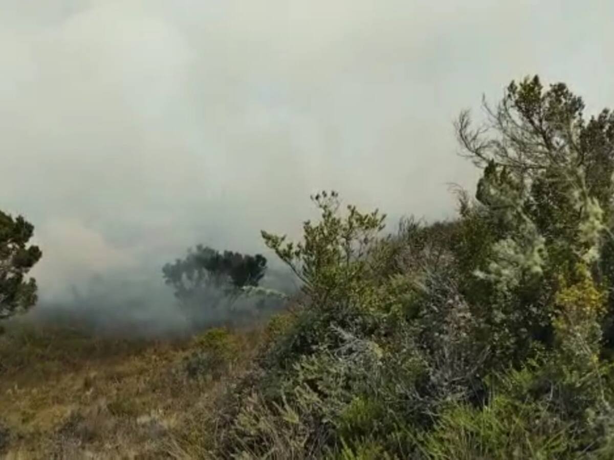 Incendio en páramo ubicado entre Aquitania y Tota afecta más de 100 hectáreas