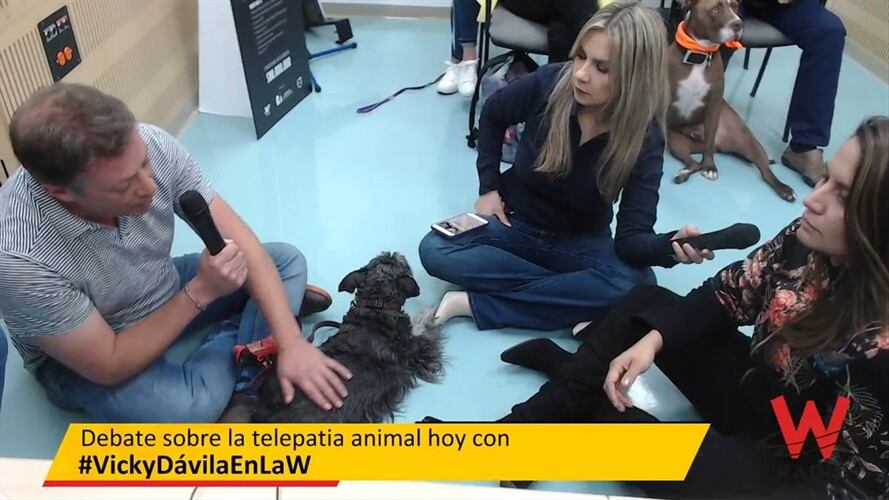 La cascarita de Mark. Foto: La WCon Vicky Dávila