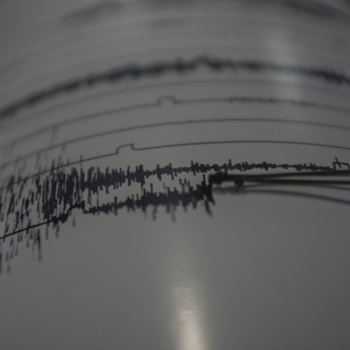 Un sismo de magnitud 7,5 sacudió la selva norte de Perú y se sintió en Colombia