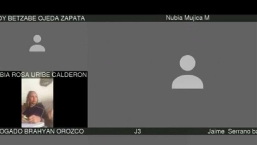 Juez audiencia. Foto: Tomada del video.