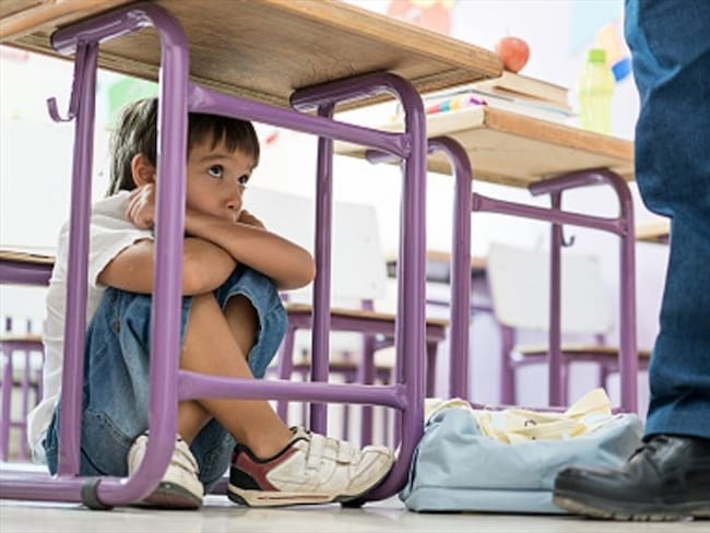 Salud mental en la escuela: Bullying