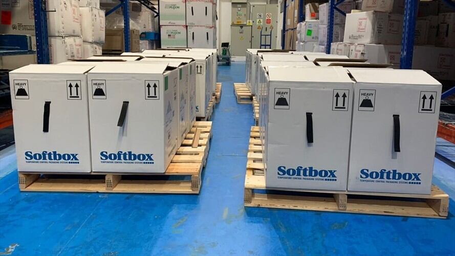 Llegan al país nuevas dosis de la vacuna de Pfizer. Foto: Ministerio de Salud