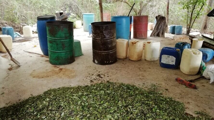 El Ejército Nacional informó que tropas de la Brigada 29 localizaron y destruyeron dos laboratorios y un semillero. Foto: Ejército Nacional