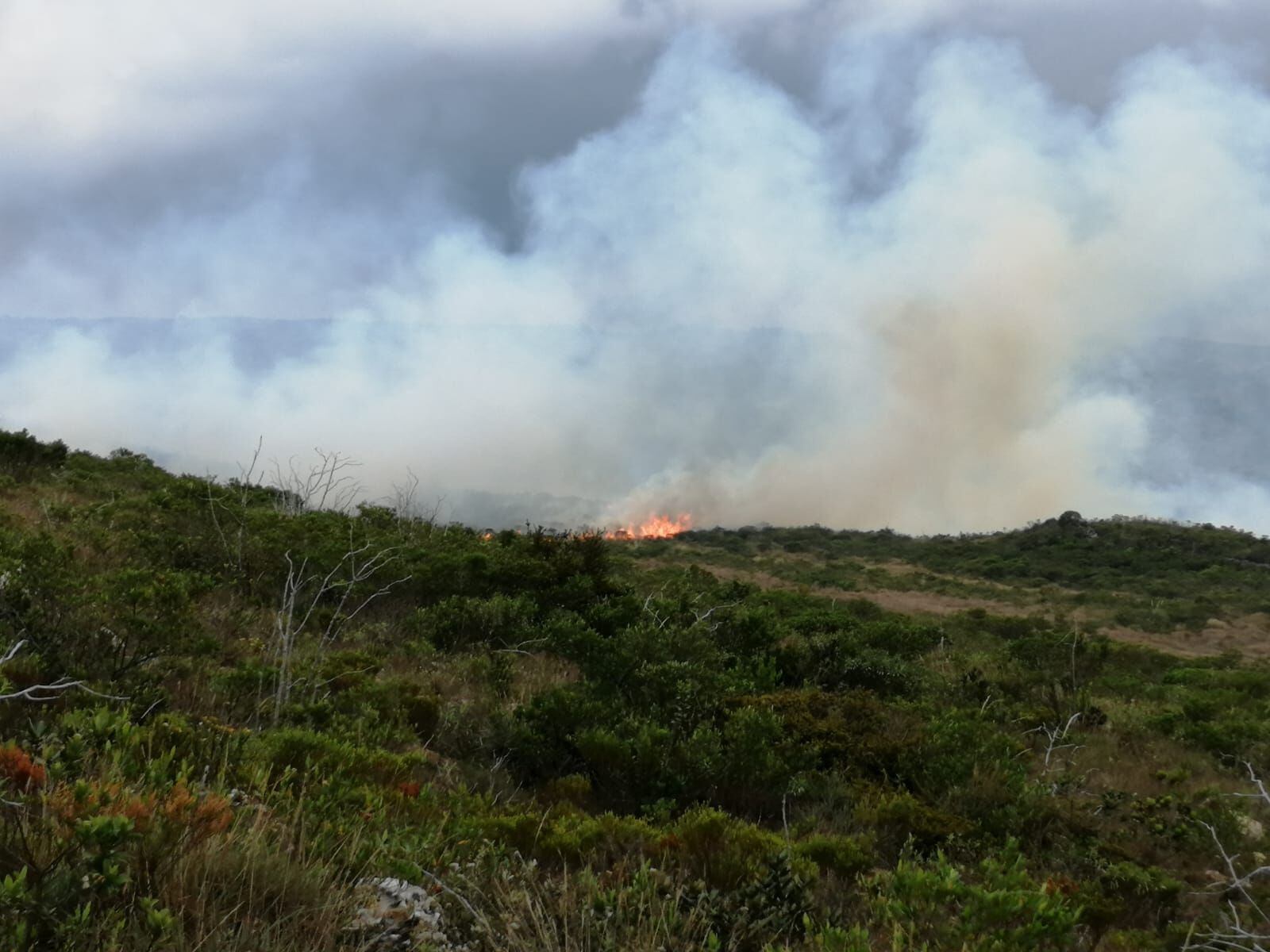 La topografía donde se registra el incendio es compleja. Foto: Alcaldía de Villa e Leyva. 