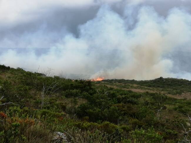 La topografía donde se registra el incendio es compleja. Foto: Alcaldía de Villa e Leyva.