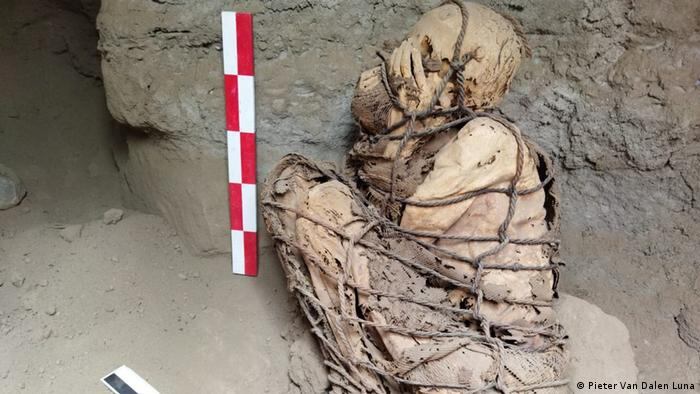 Hallan momia de 800 años en Perú. Foto: AFP