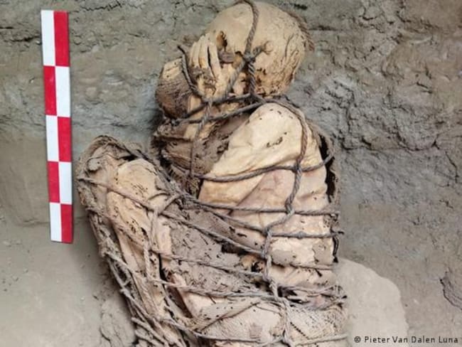 Hallan momia de 800 años en Perú. Foto: AFP