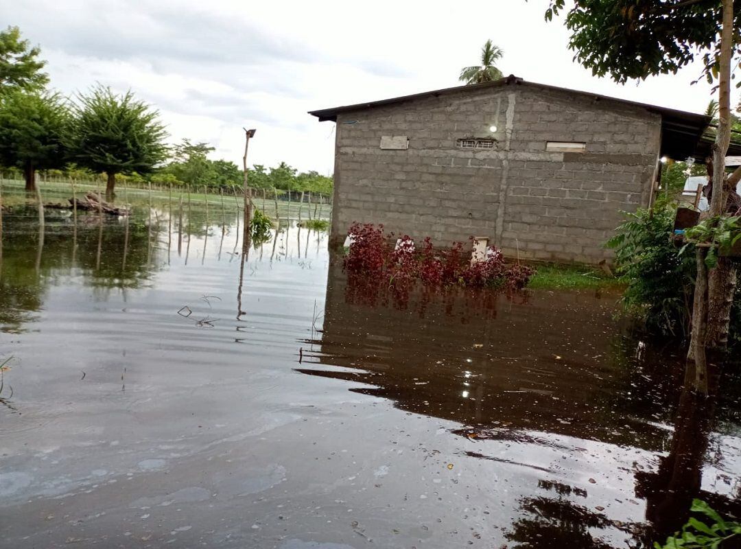 Más de 300 hectáreas de cultivos quedaron bajo el agua tras desbordamiento de canal en Cotorra, Córdoba. Foto: cortesía. 