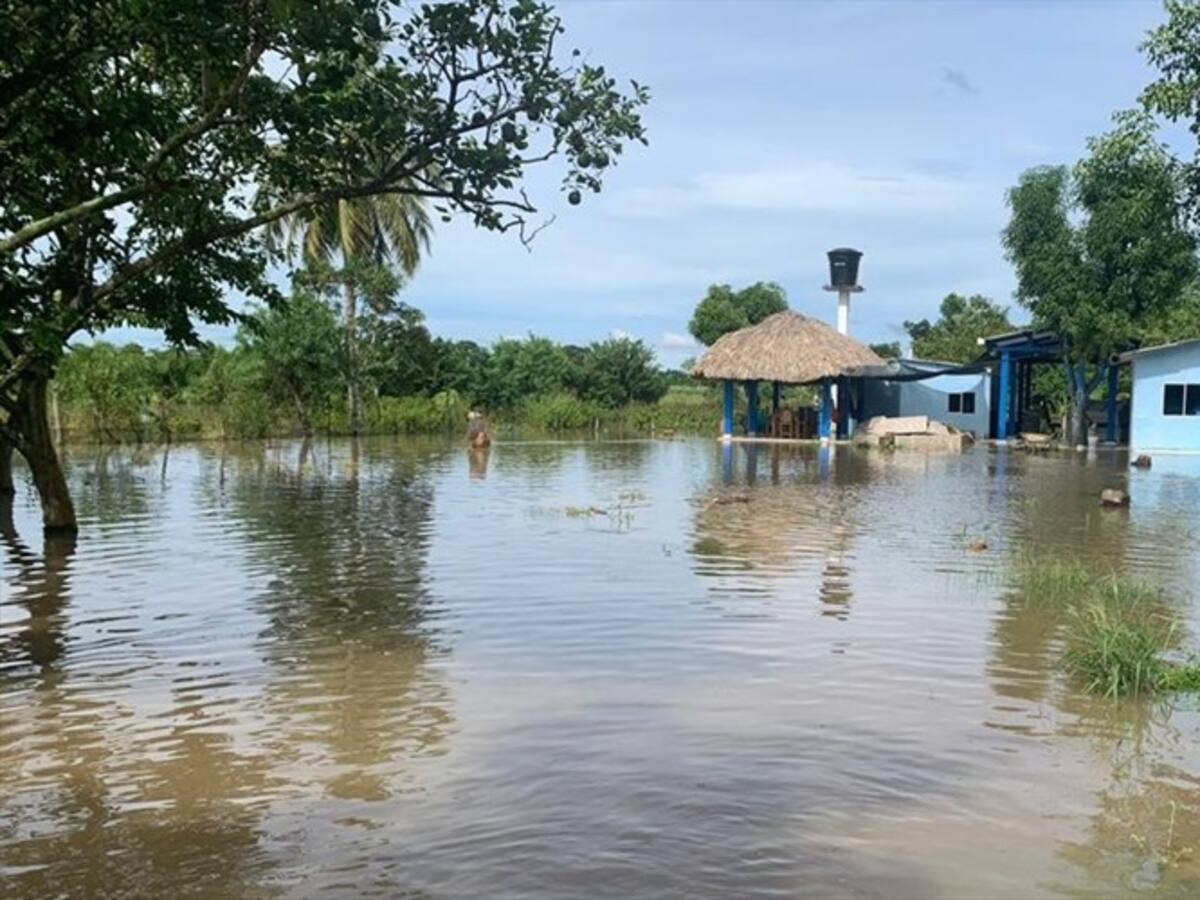 Cerca de 500 familias campesinas están inundadas en zona rural de Montería