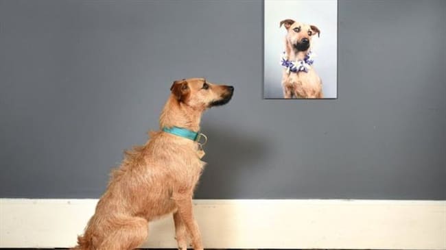 Así funciona el multimillonario negocio del arte. Foto: BBC Mundo