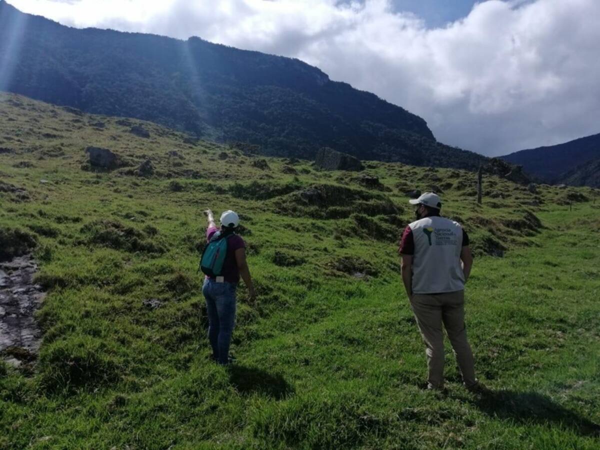 Se puede construir una herramienta de paz con la reforma agraria: director de ANT